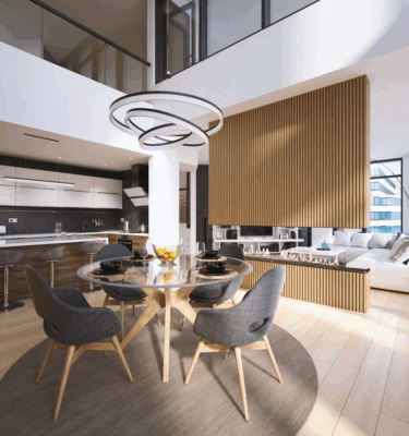 Decoflame Net Zero Emission F6 Bioethanol Fireplace Insert for Modern Living homes